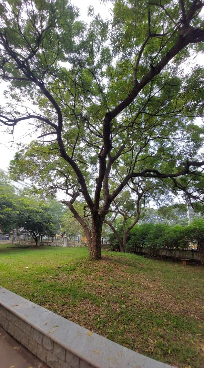 St. Mary's Group of Institutions Guntur for Women General photo 3